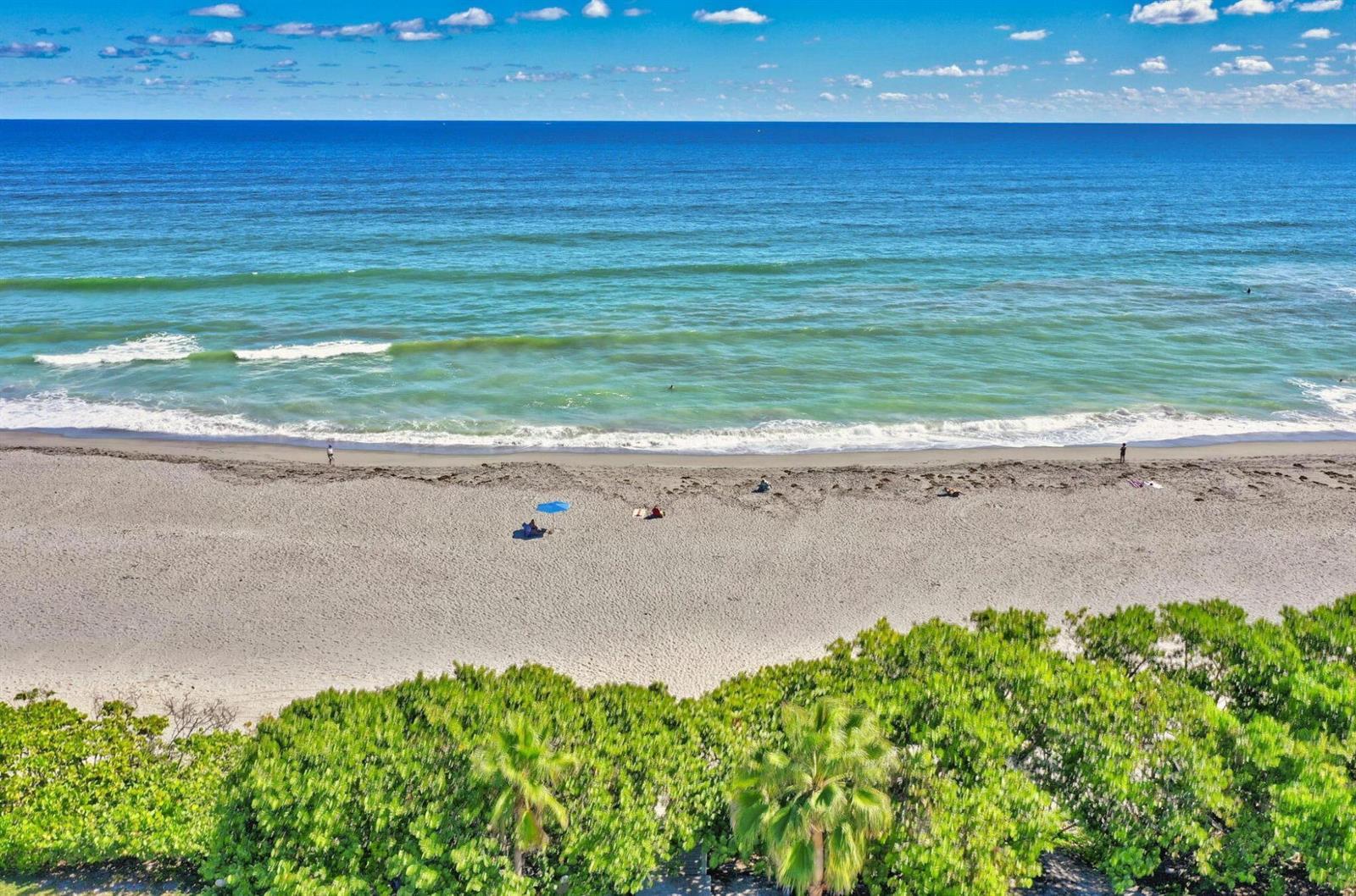 1605 S Us Highway 1 # 14e, Jupiter FL 33477 photo 3