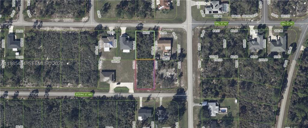 101 Boeing St Street NW, Lake Placid FL 33852 photo 3