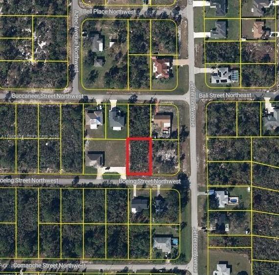 101 Boeing St Street NW, Lake Placid FL 33852