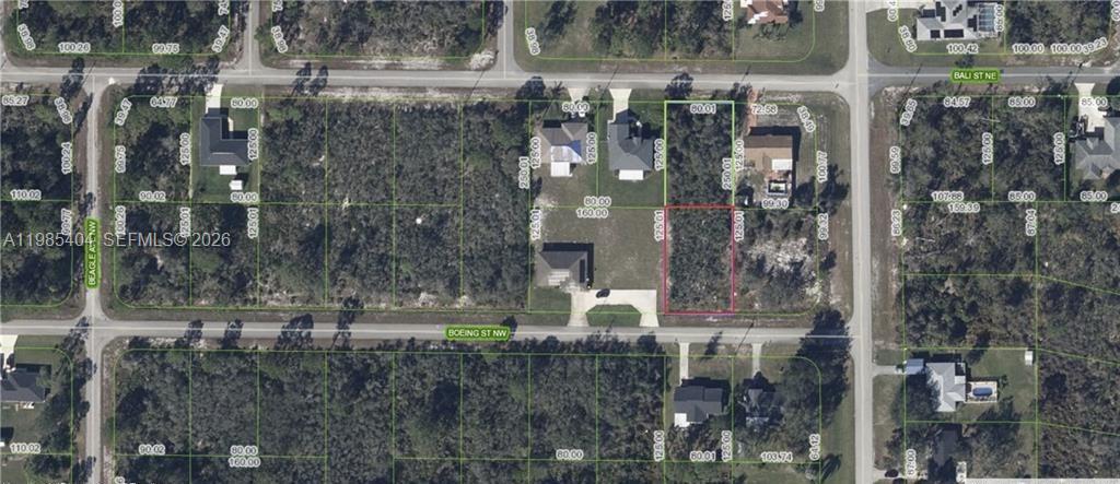 101 Boeing St Street NW, Lake Placid FL 33852 photo 4
