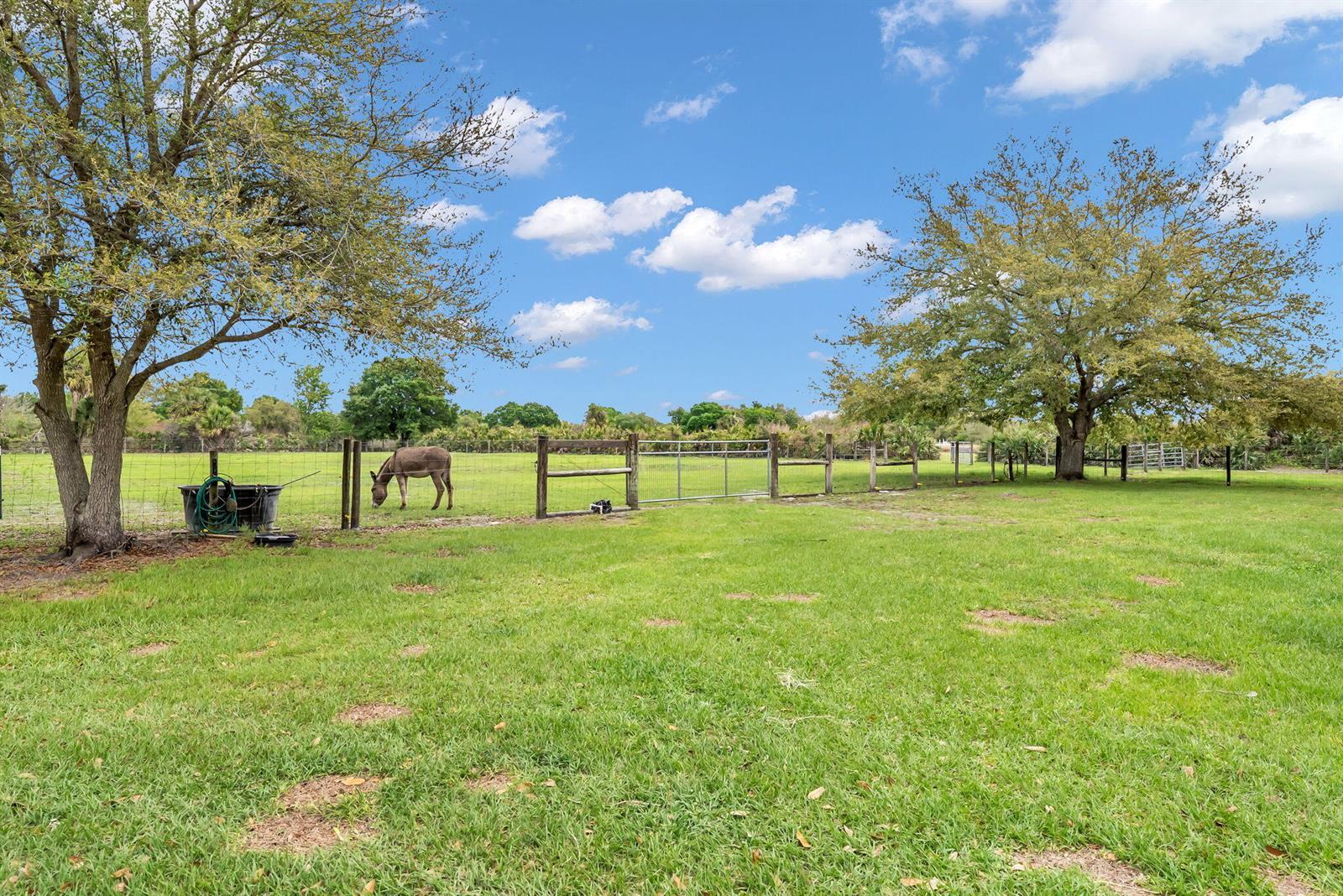 17255 NW 272nd Street, Okeechobee FL 34972 photo 2