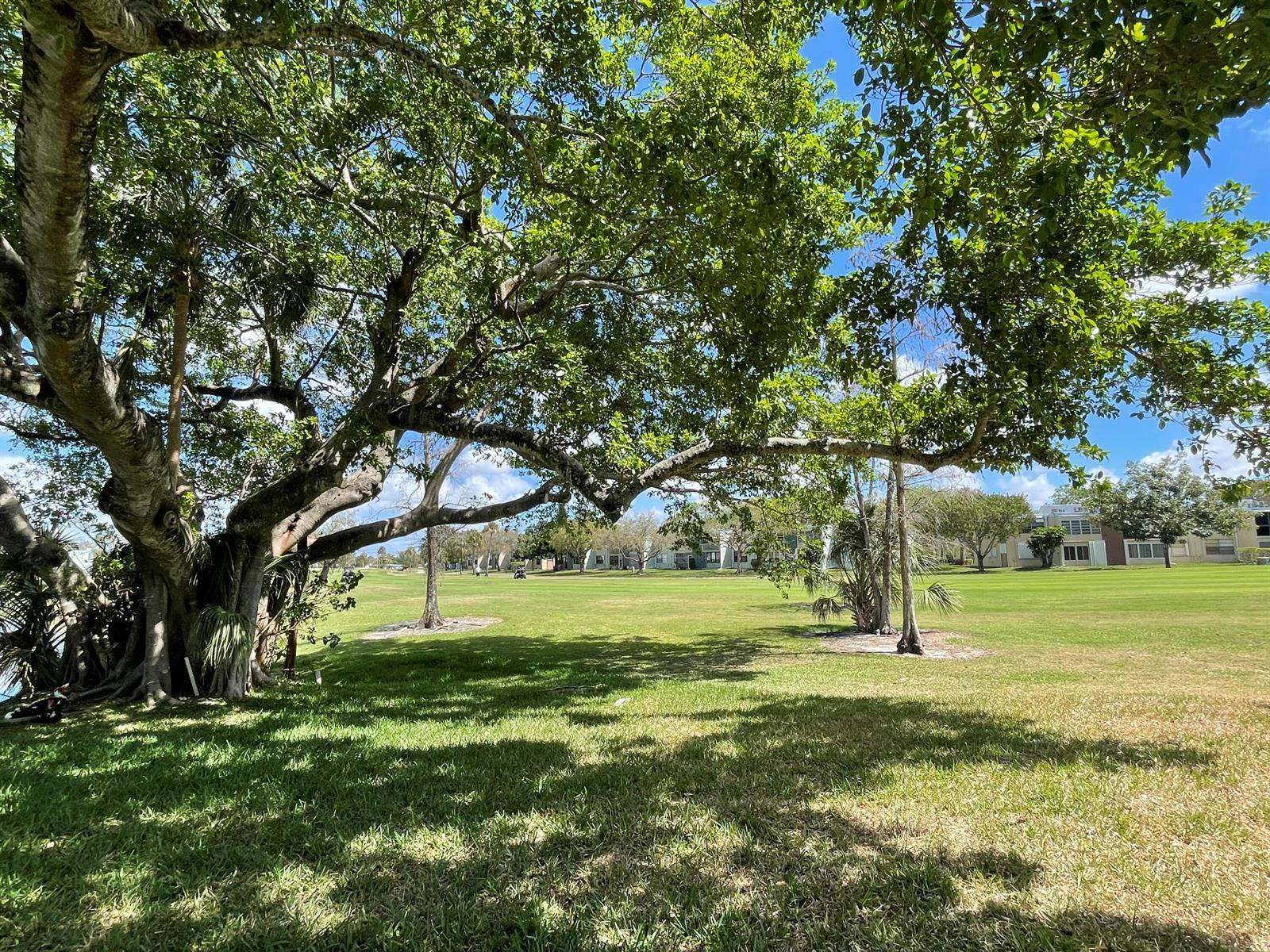 7460 NW 18th Street # 104, Margate FL 33063 photo 4