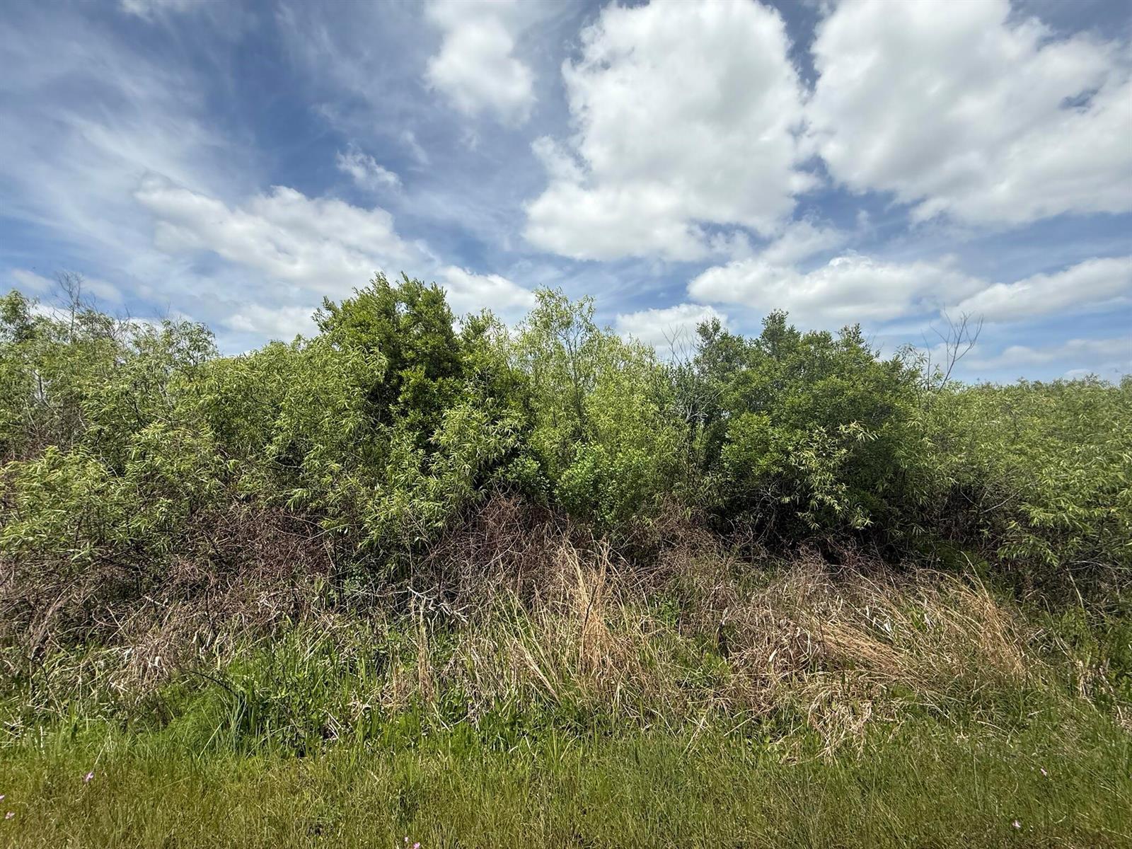 15837 NW 282nd Street, Okeechobee FL 34972 photo 2