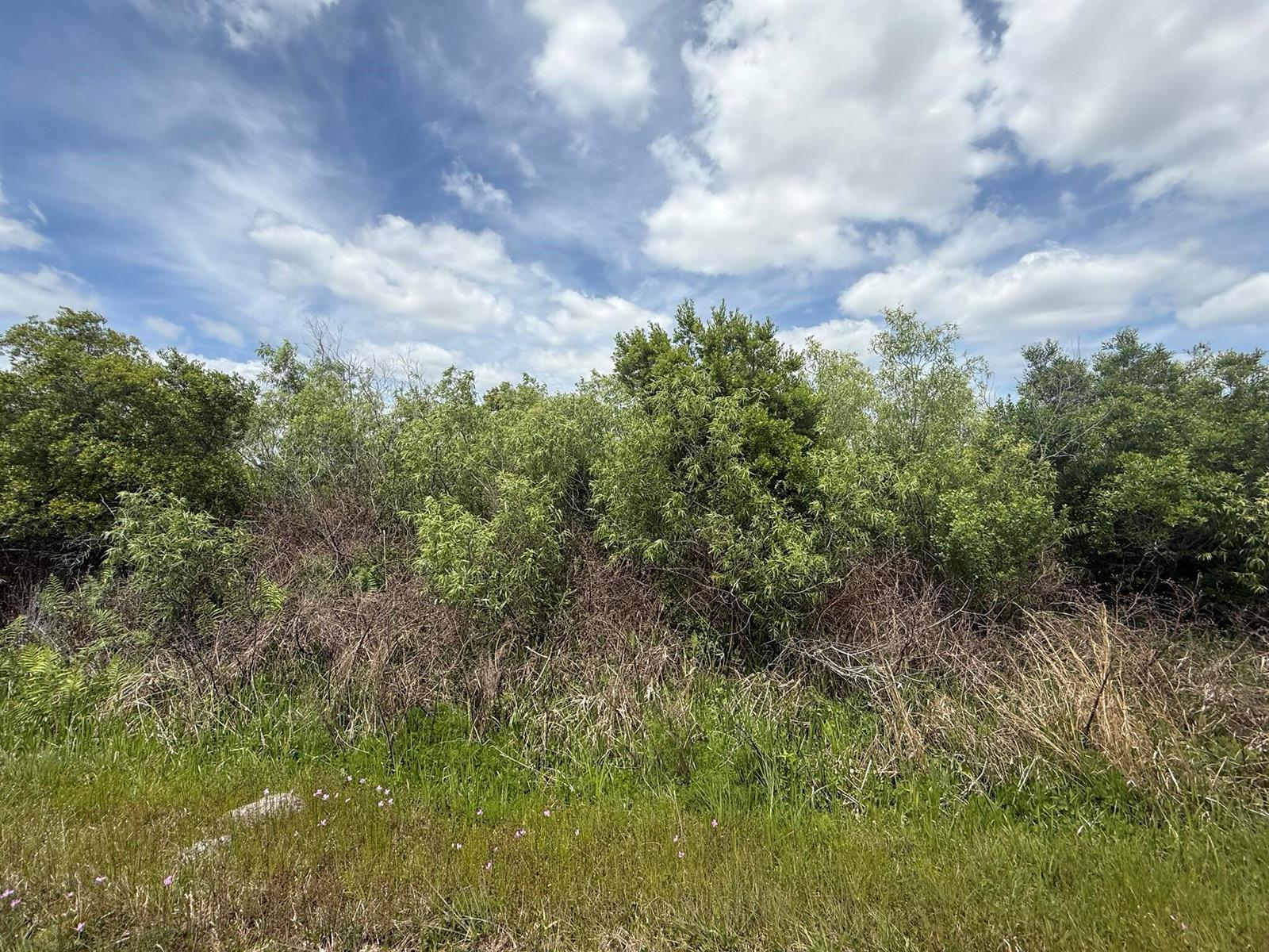 15837 NW 282nd Street, Okeechobee FL 34972 photo 3
