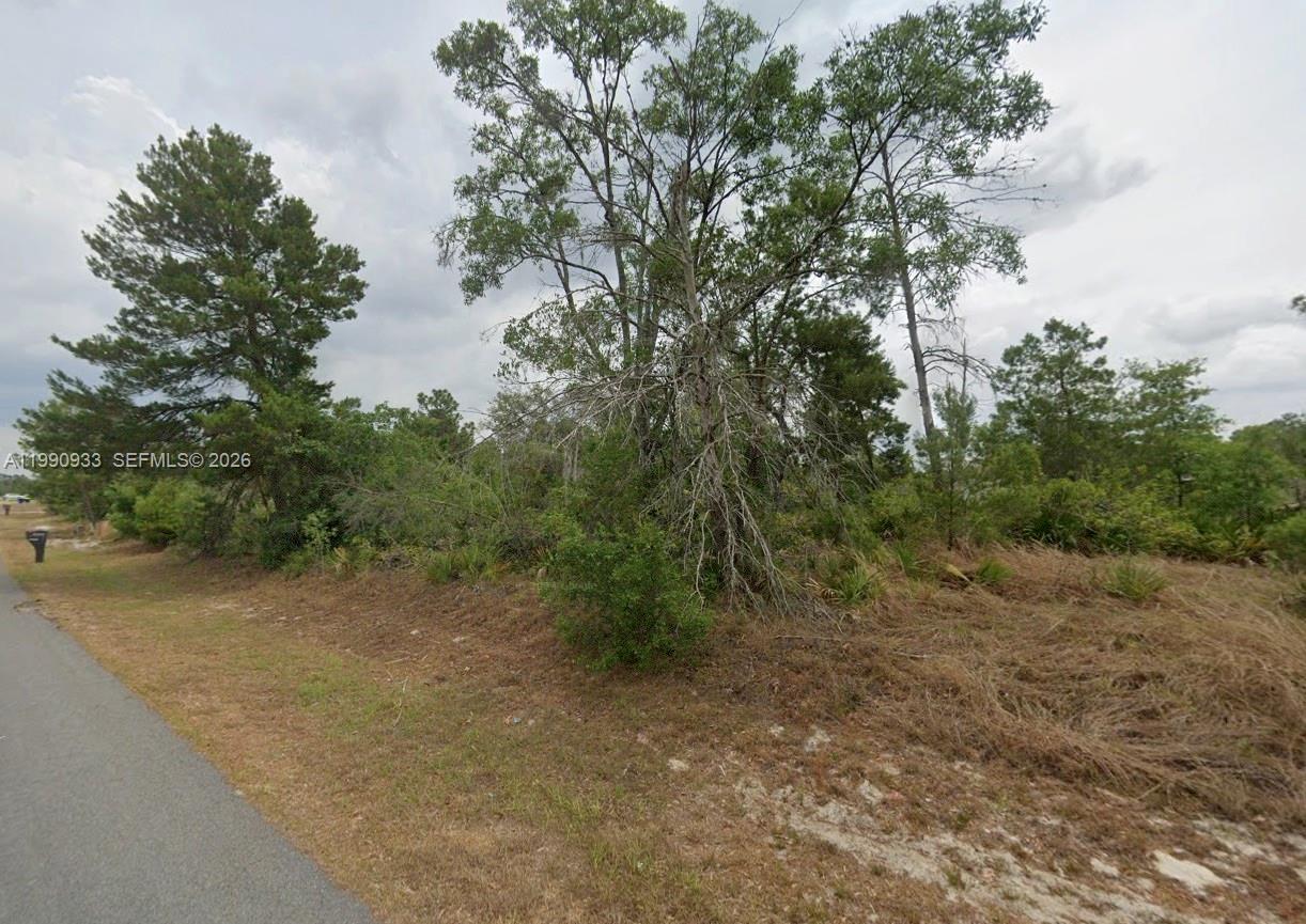 4931 San Ignacio Dr, Sebring FL 33872 photo 5