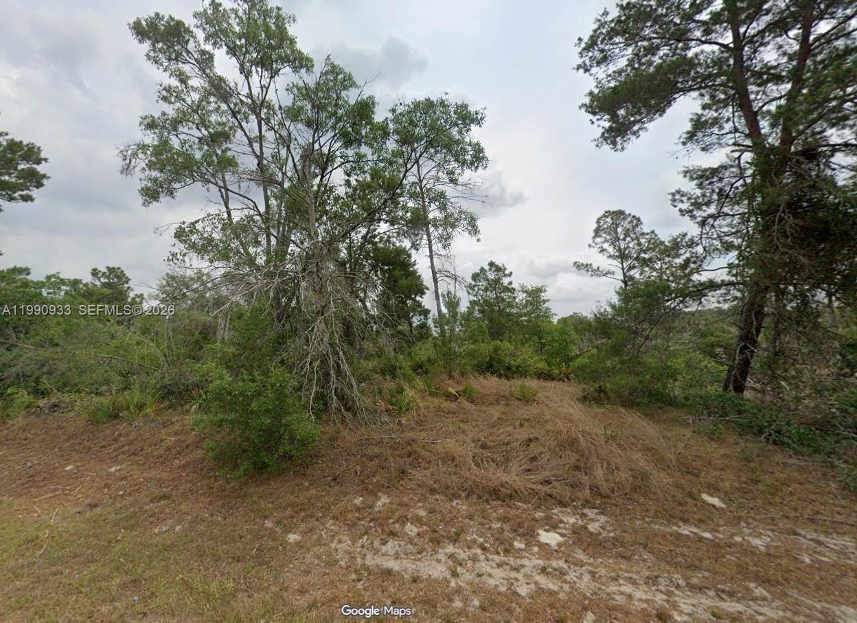 4931 San Ignacio Dr, Sebring FL 33872 photo 4