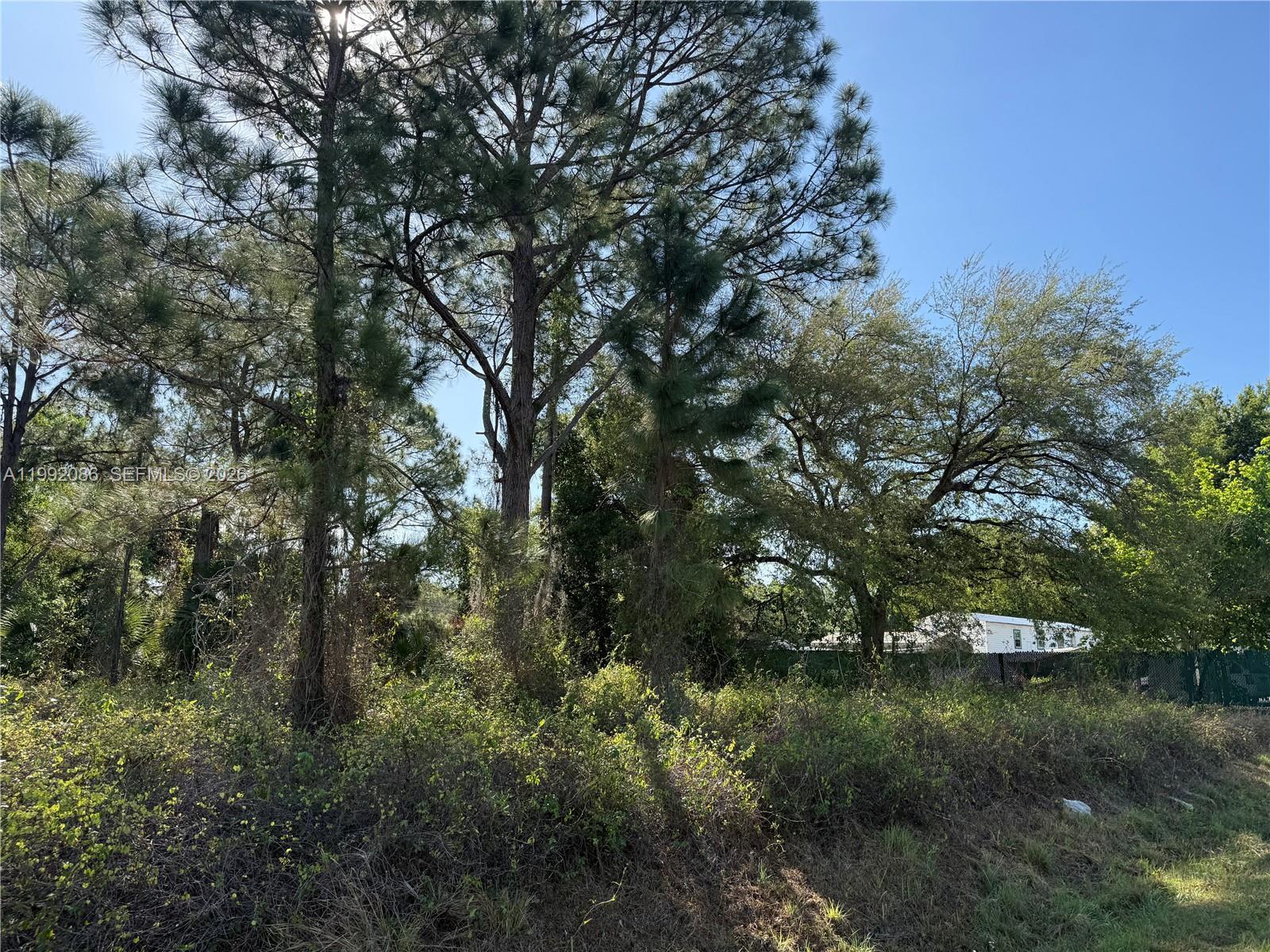 425 S DATIL ST, Clewiston FL 33440 photo 2