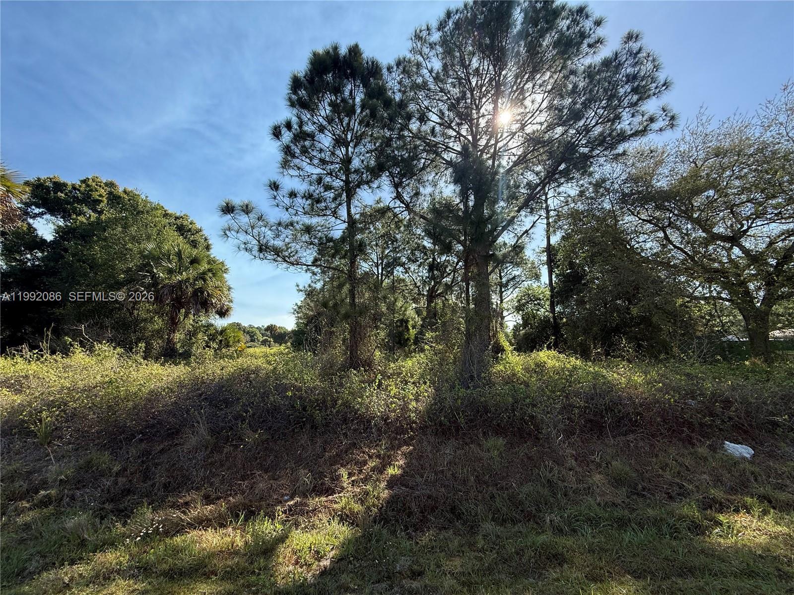 425 S DATIL ST, Clewiston FL 33440 photo 3
