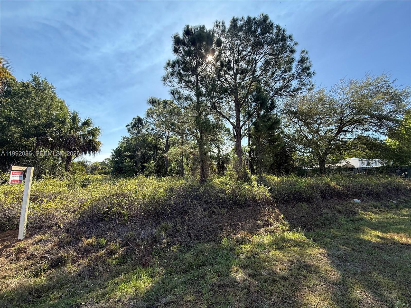 425 S DATIL ST, Clewiston FL 33440