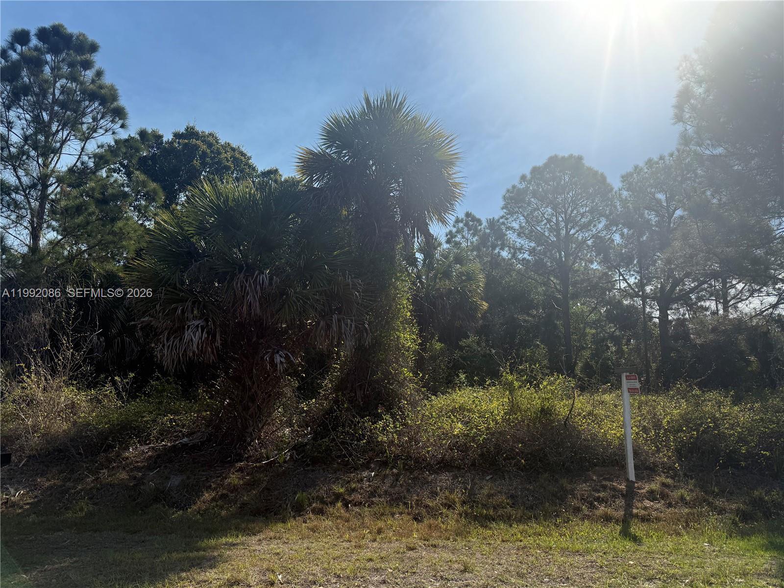 425 S DATIL ST, Clewiston FL 33440 photo 5