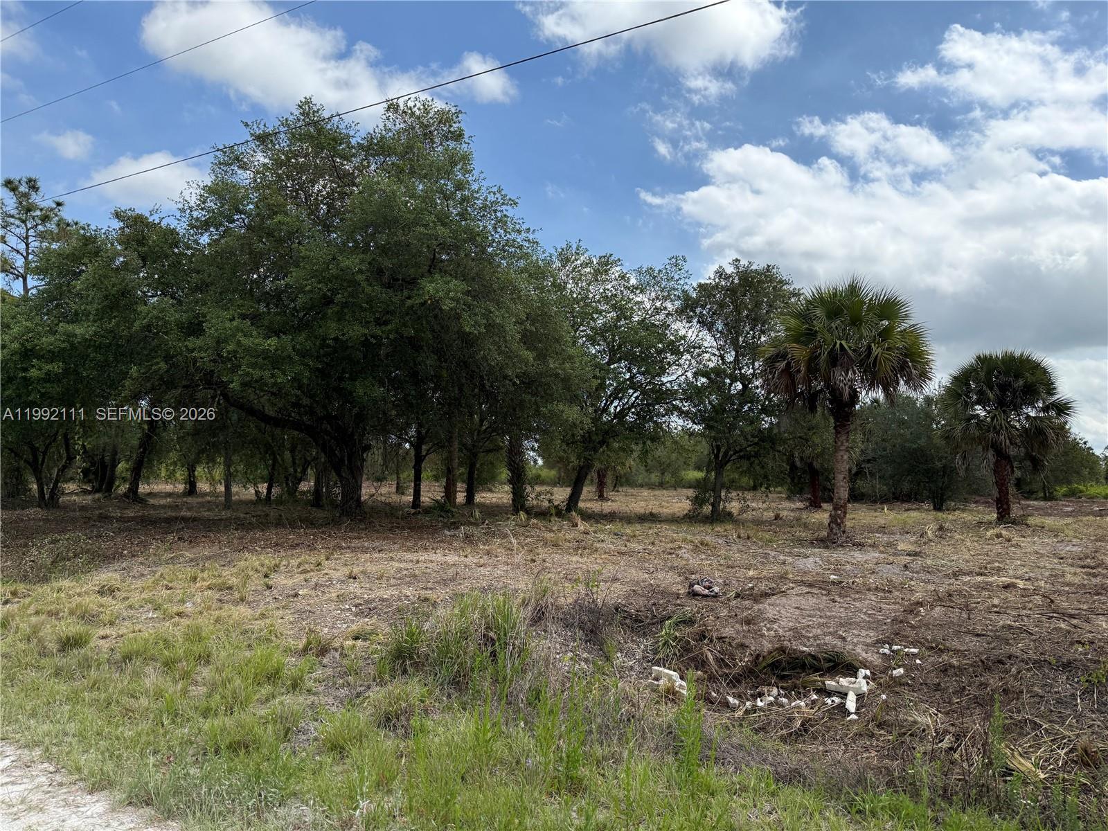 335 & 345 S KENNEL ST, Clewiston FL 33440 photo 2