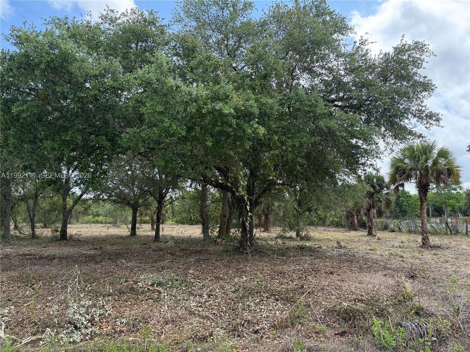 335 & 345 S KENNEL ST, Clewiston FL 33440 photo 3