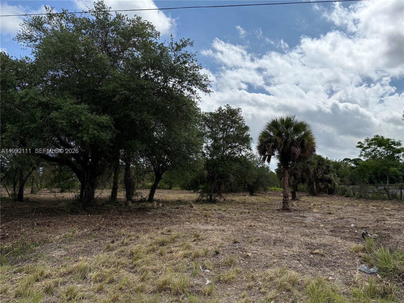 335 & 345 S KENNEL ST, Clewiston FL 33440 photo 5