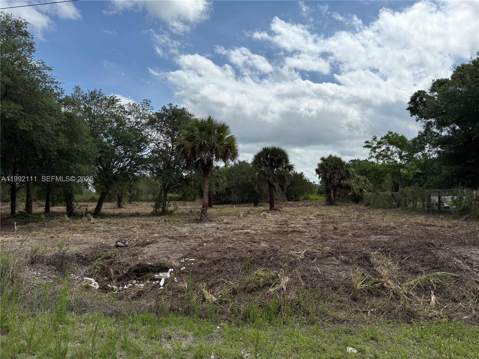 335 & 345 S KENNEL ST, Clewiston FL 33440 photo 4