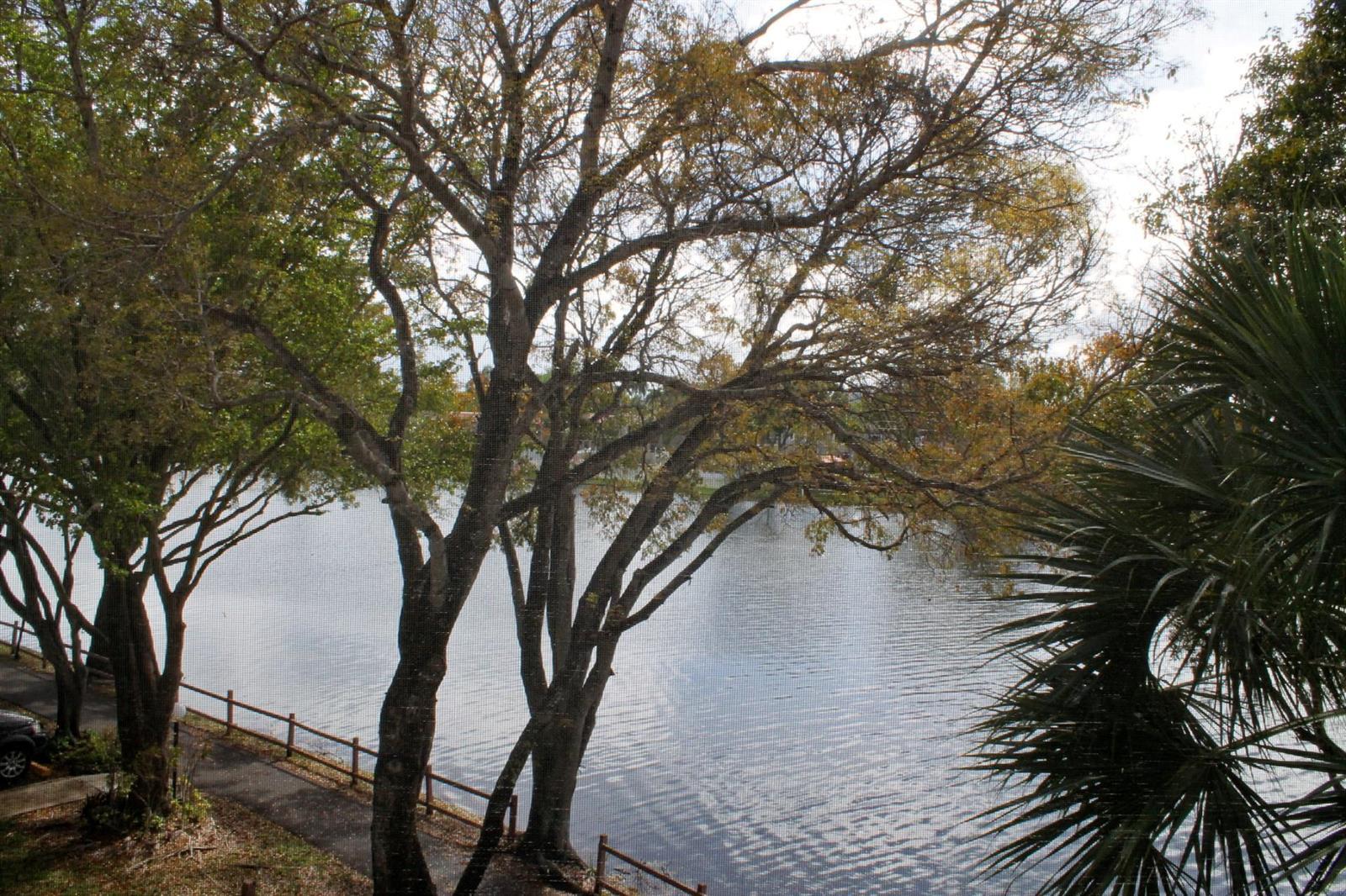 1100 Colony Point Circle # 314, Pembroke Pines FL 33026 photo 4