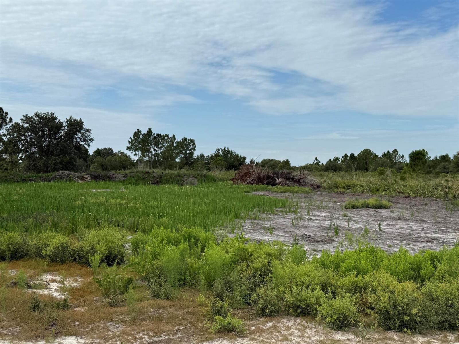16814 NW 296th Street, Okeechobee FL 34972 photo 5