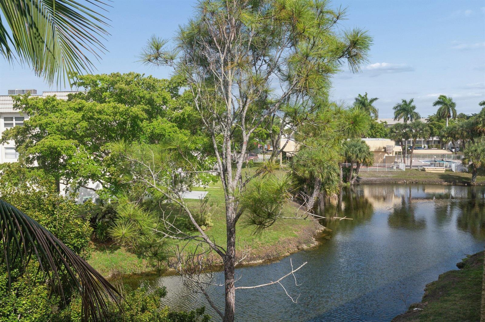 8305 Sunrise Lakes Boulevard # 308, Sunrise FL 33322 photo 4