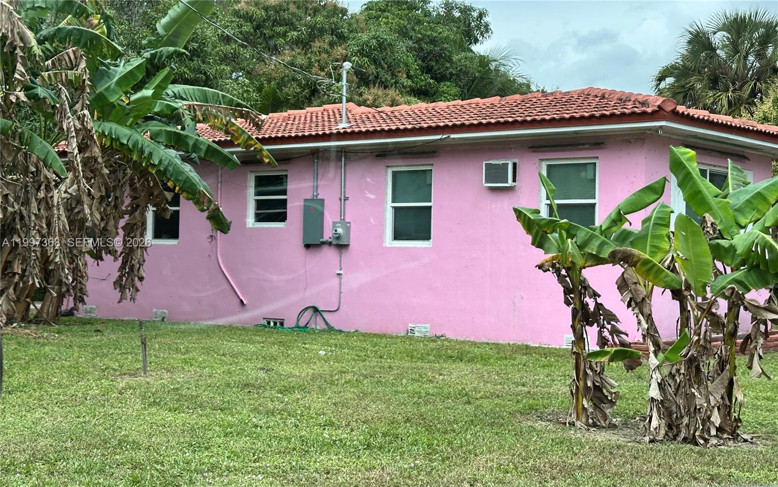 9100 N Miami Ave, Miami Shores FL 33150 photo 3