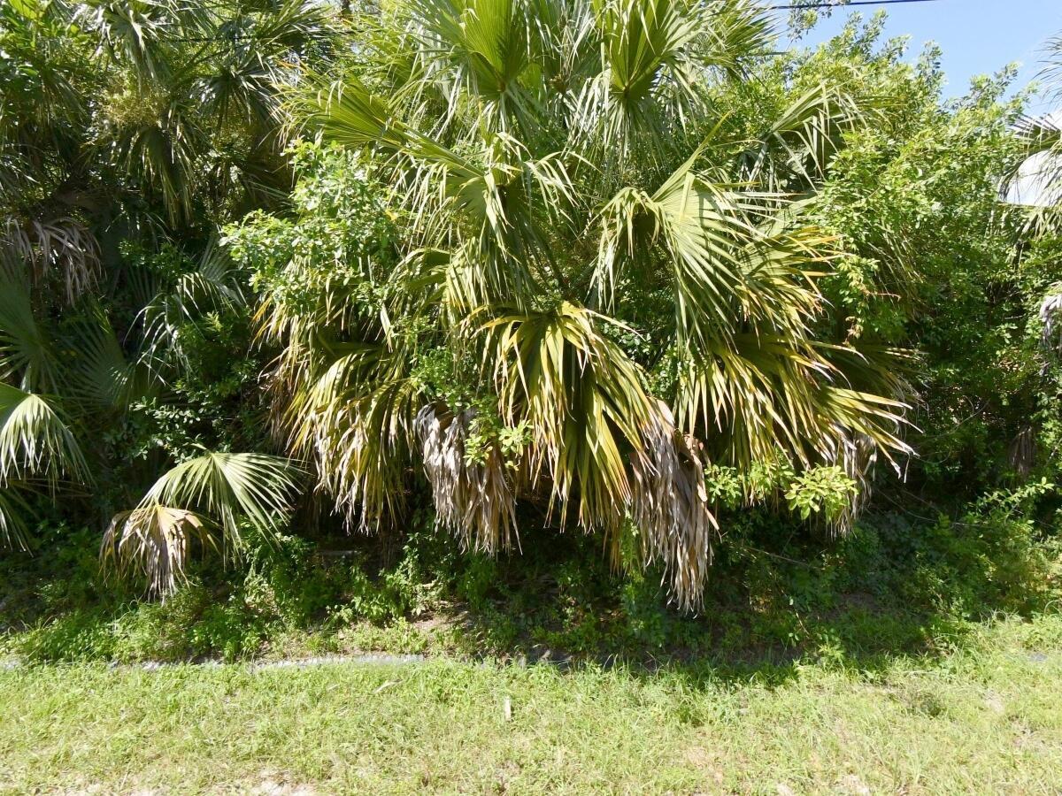 542 SW College Park Road, Port St. Lucie FL 34953