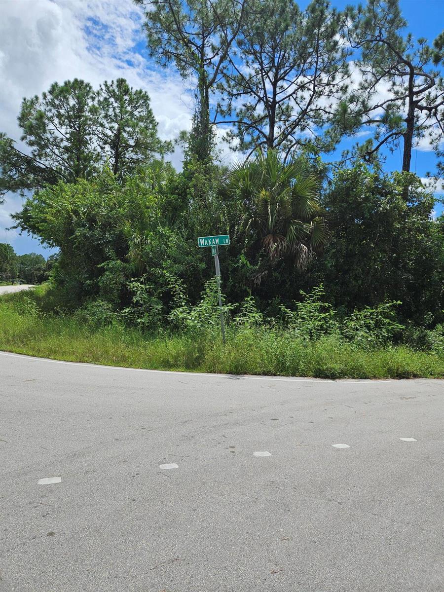 801 Wakaw Lane SW, Palm Bay FL 32908 photo 2