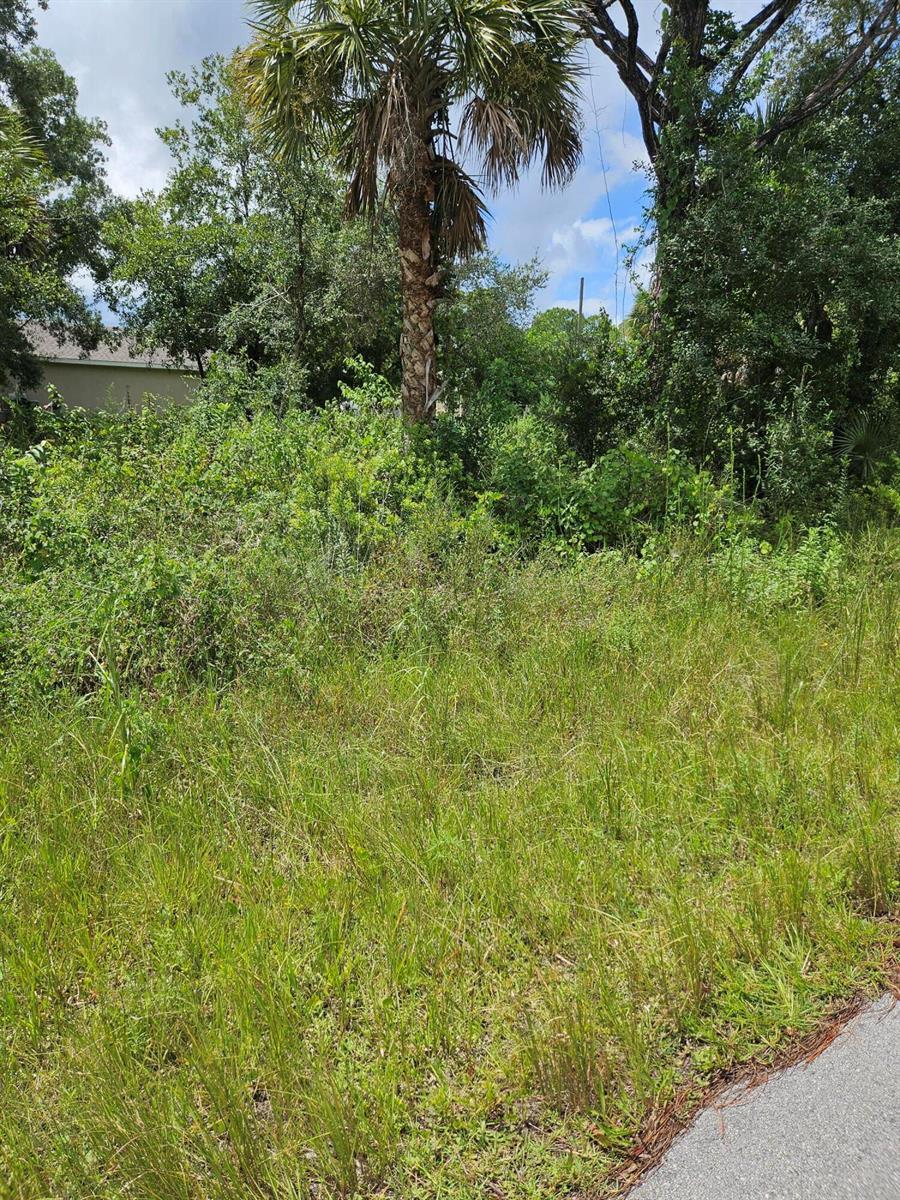 801 Wakaw Lane SW, Palm Bay FL 32908 photo 3