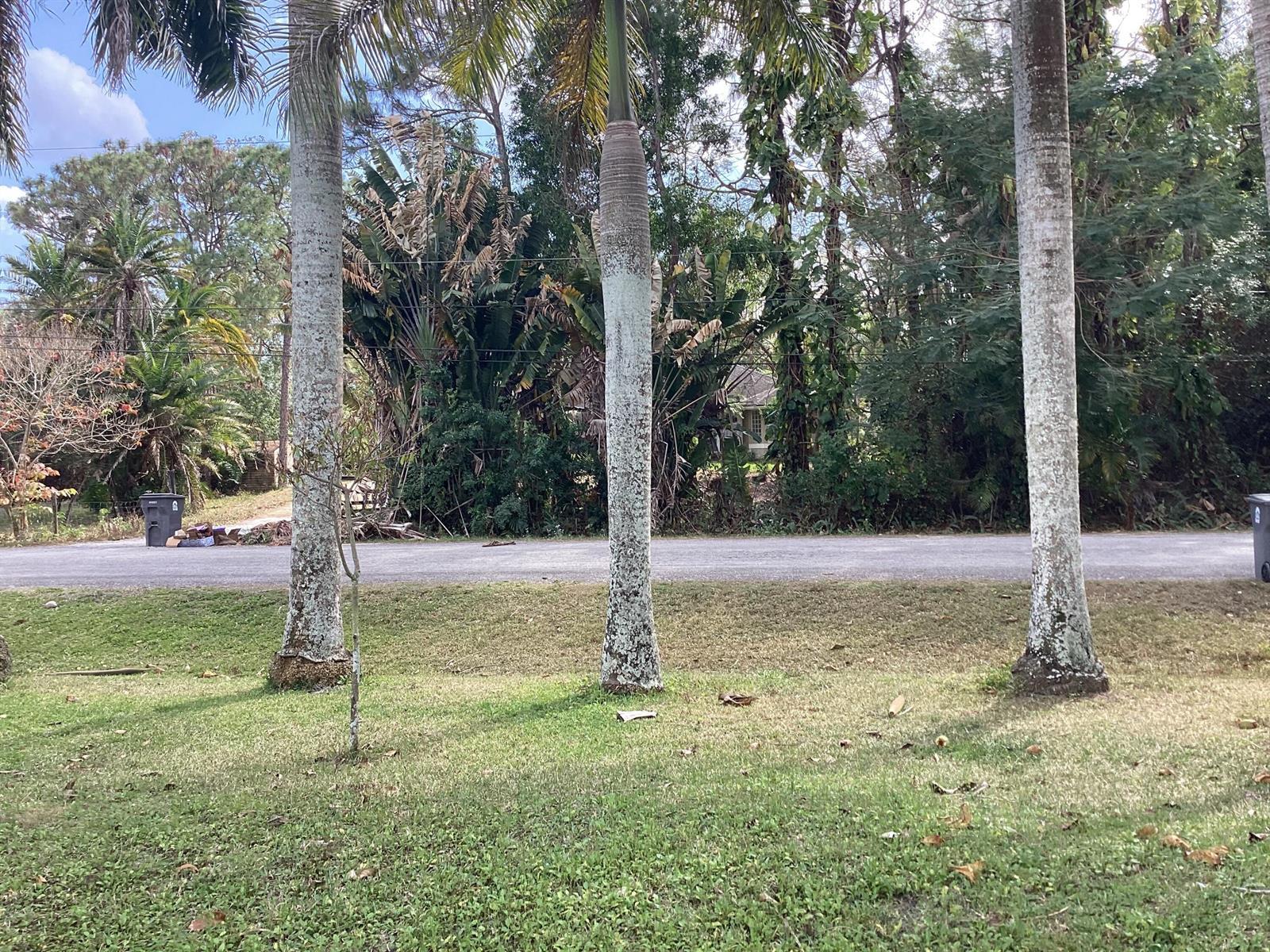 12173 N 88th Pl Place N # 1, FL 33412 photo 3