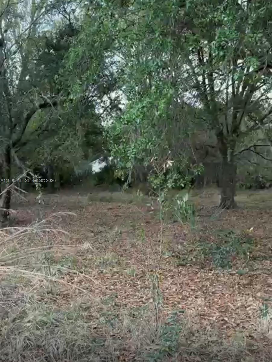 10800 S jefferson ave, Lake Placid FL 33852 photo 2