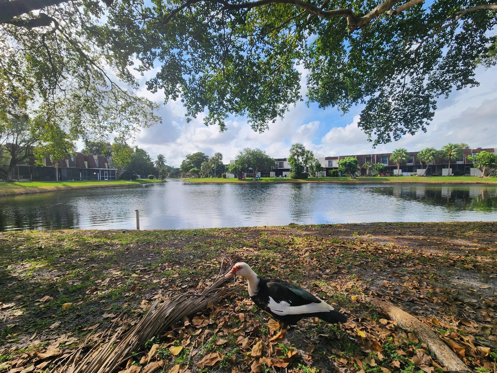 1504 NW 89th Terrace # 1504, Pembroke Pines FL 33024 photo 5
