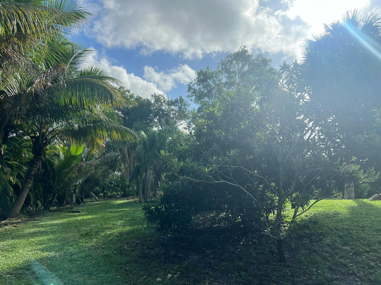 17254 32nd Lane N, FL 33470 photo 5
