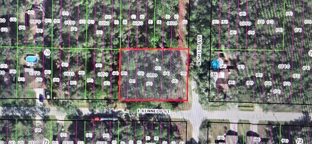 3345 E Kennedy Street, Inverness FL 34453 photo 3