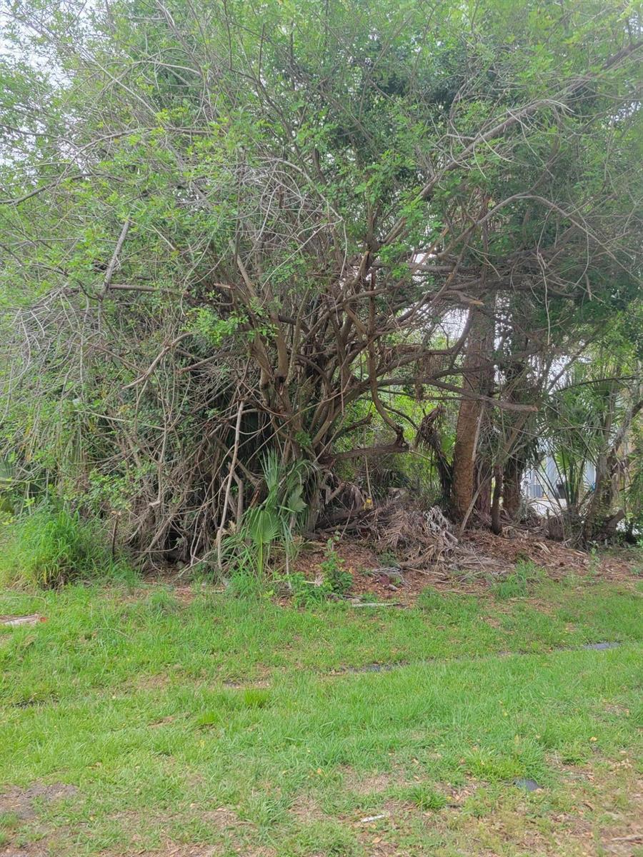 1109 SW Abingdon Avenue S, Port St. Lucie FL 34953 photo 2
