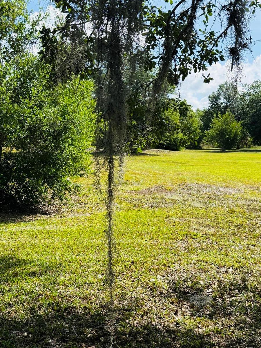 19636 NW 272nd Street, Okeechobee FL 34972 photo 3