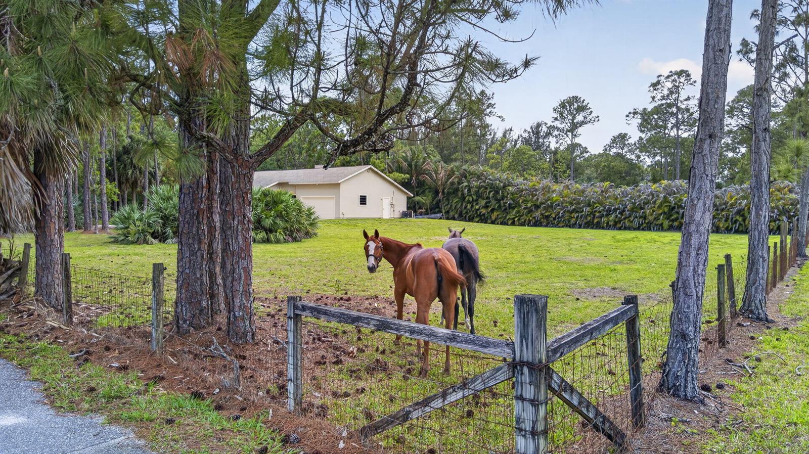 6045 Hall Boulevard, FL 33470