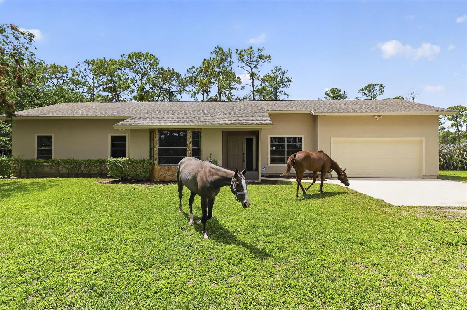 6045 Hall Boulevard, FL 33470 photo 5