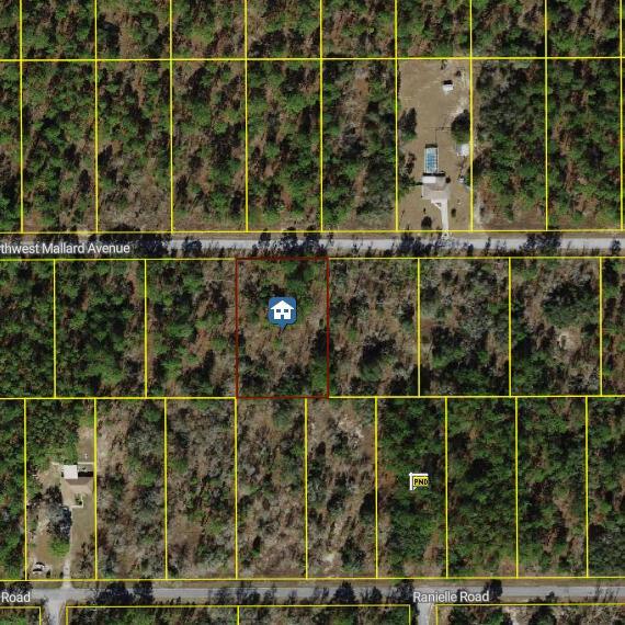 00000 NW Mallard Avenue, FL 34431 photo 2