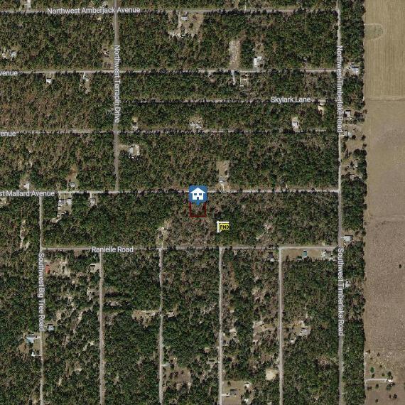00000 NW Mallard Avenue, FL 34431 photo 3