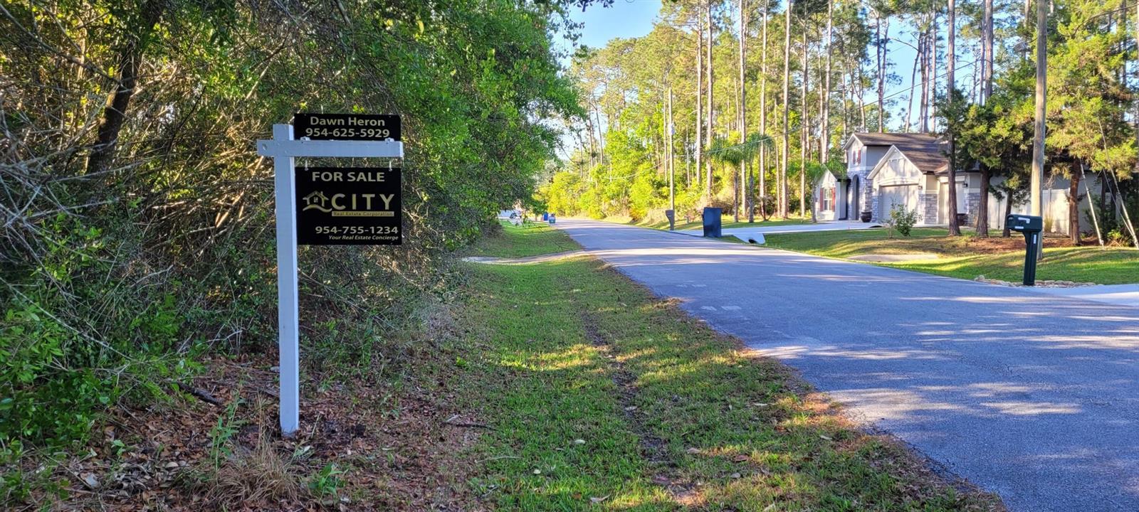 16 Lake Placid Lane, Palm Coast FL 32137 photo 2