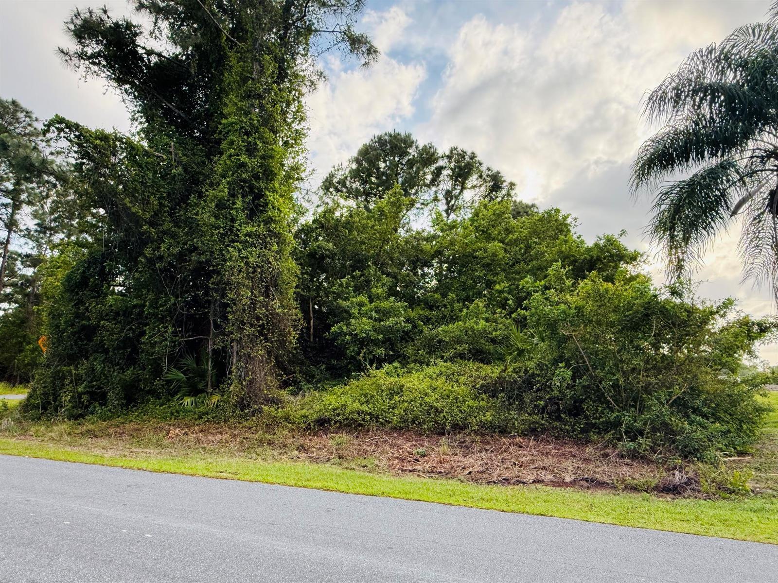 0000 Thames Road SE, Palm Bay FL 32909