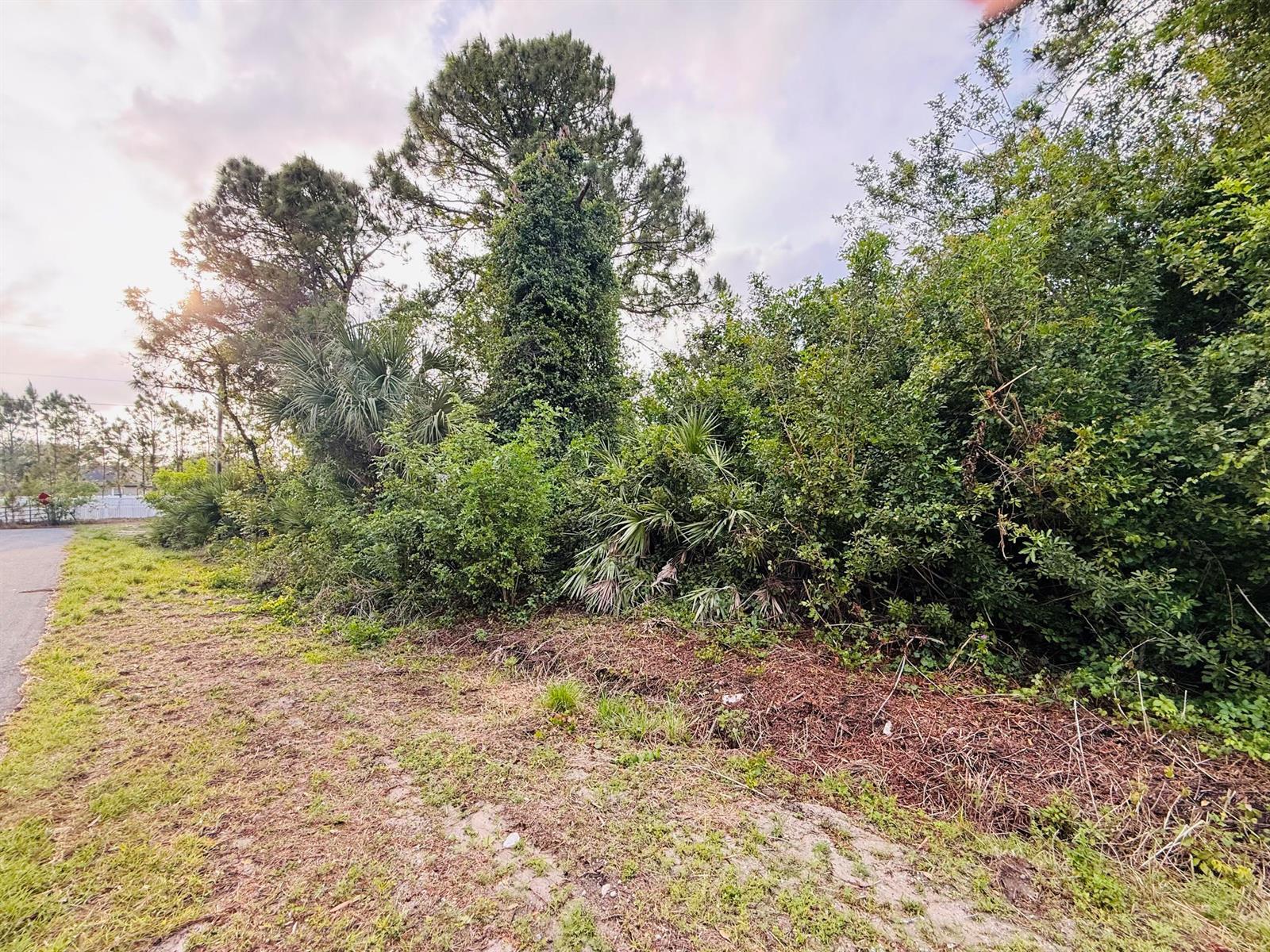 0000 Thames Road SE, Palm Bay FL 32909 photo 5