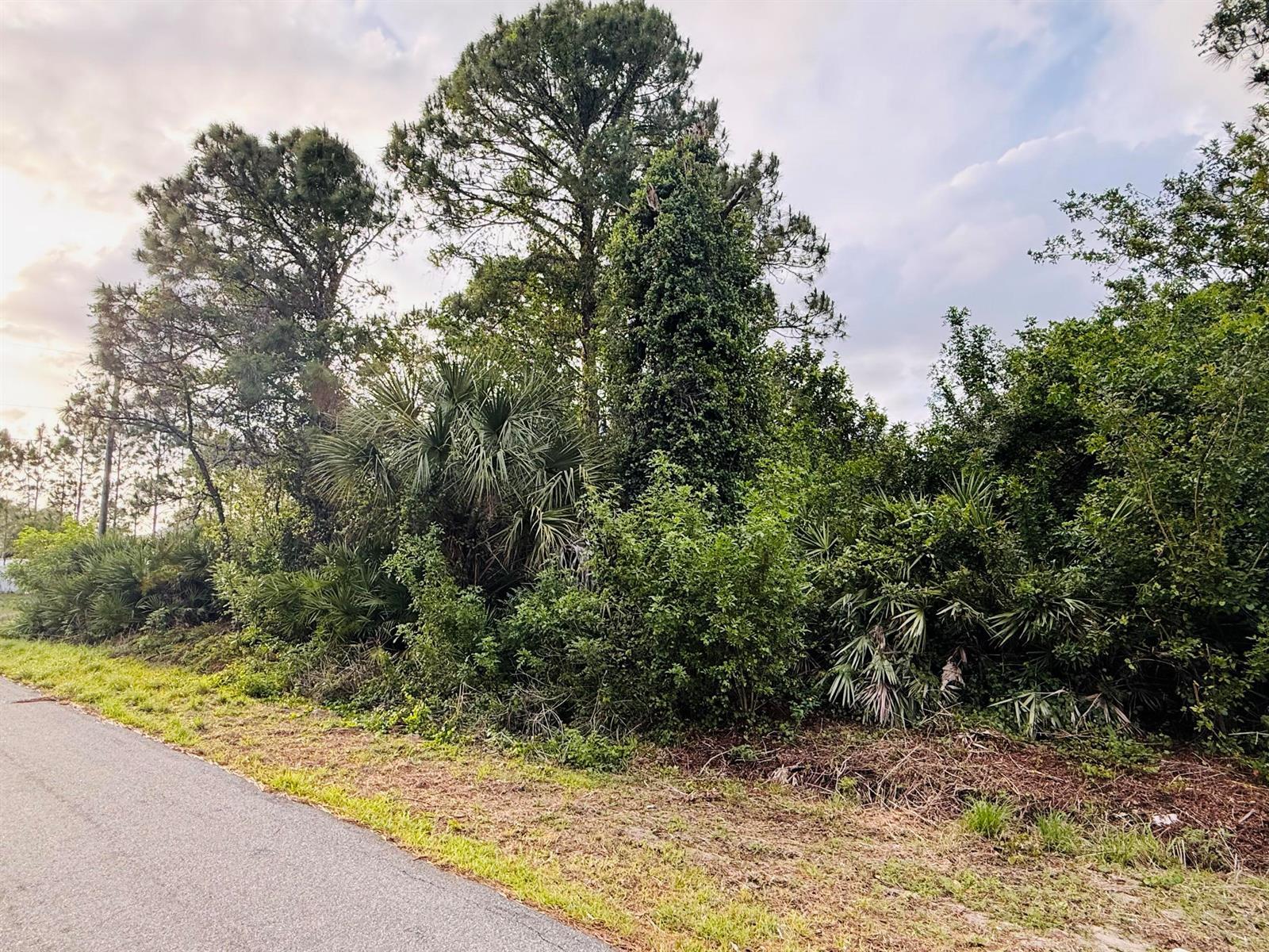 0000 Thames Road SE, Palm Bay FL 32909 photo 4