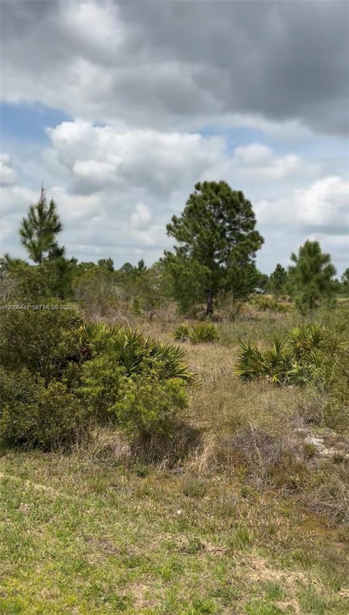 2458 W Butkus Rd, Avon Park FL 33825