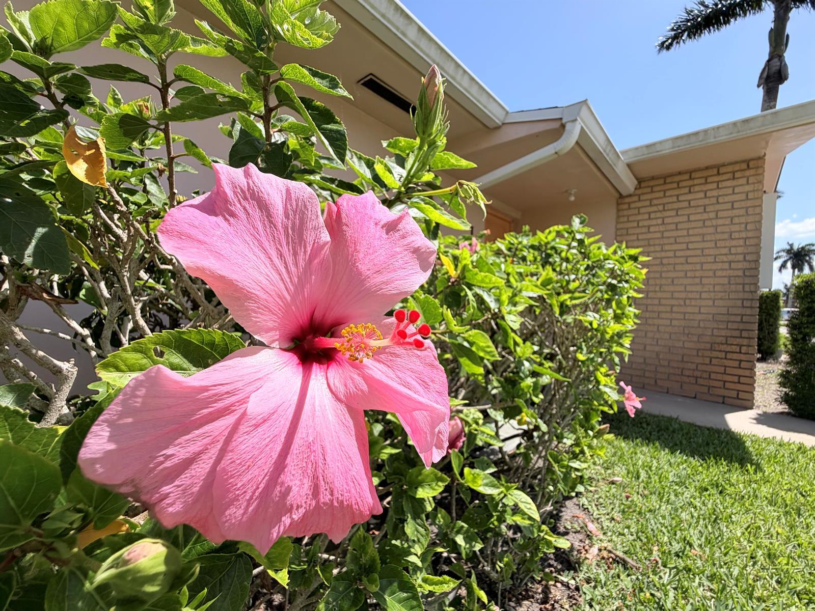 2607 Dudley Drive W # L, West Palm Beach FL 33415 photo 3