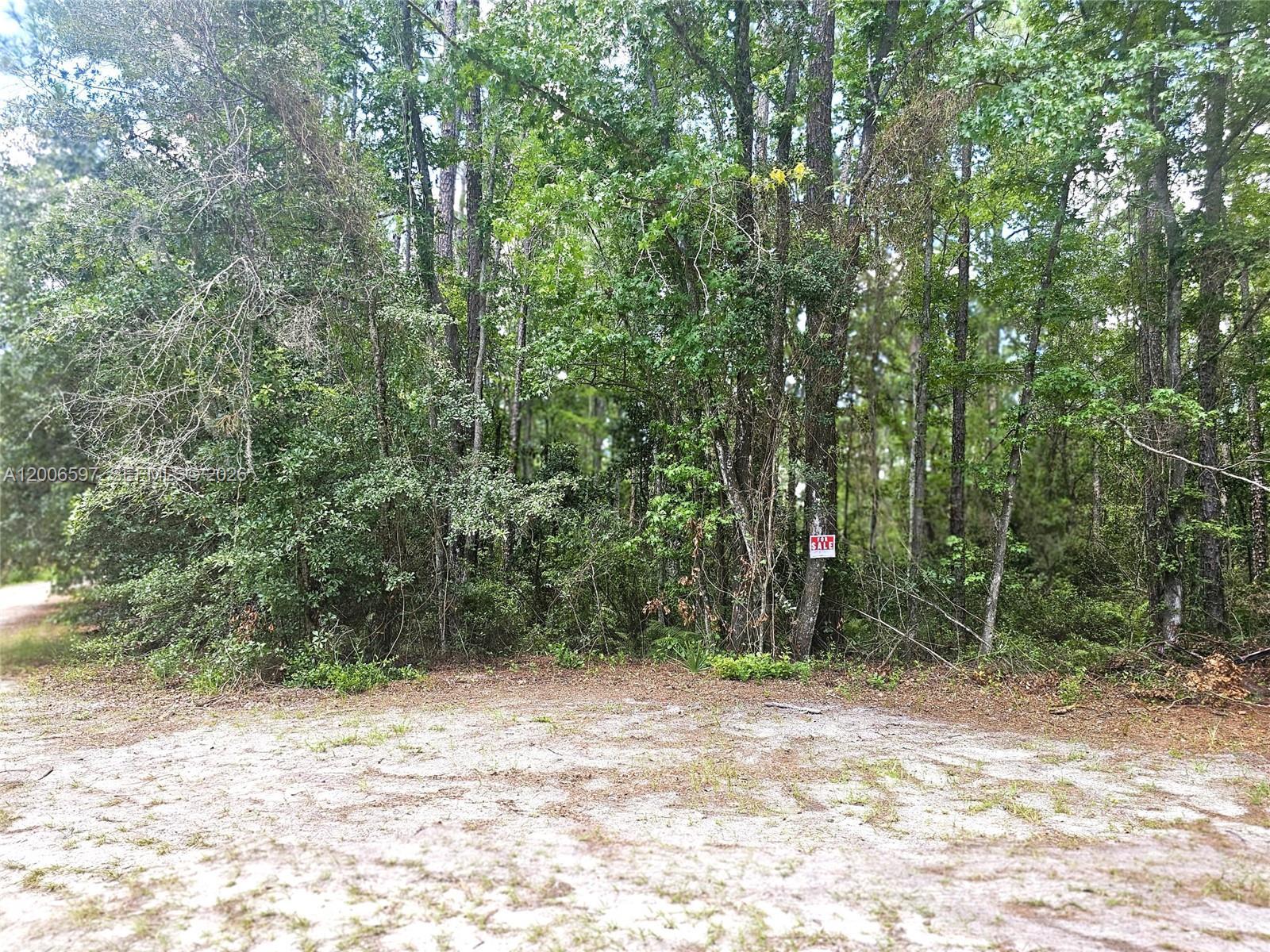 No situs SE 2nd ST, Palatka FL 32177 photo 2