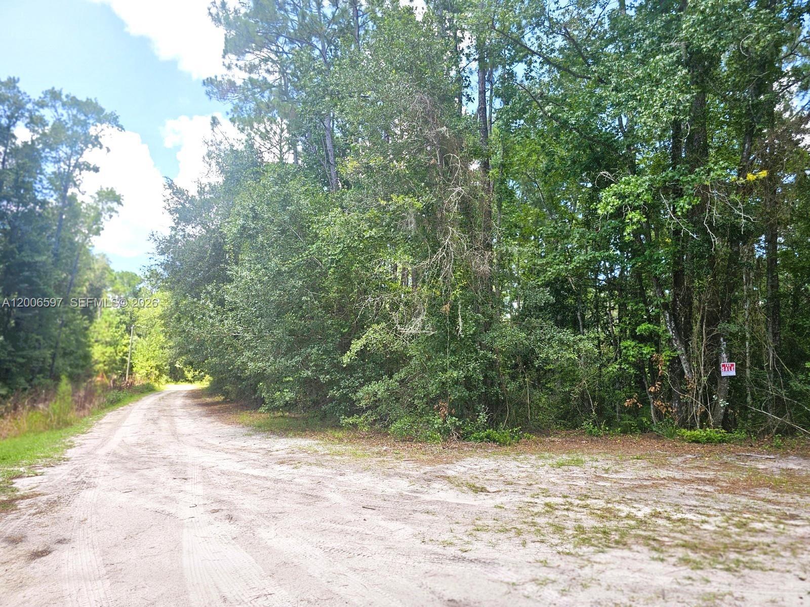 No situs SE 2nd ST, Palatka FL 32177 photo 3