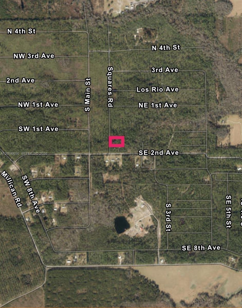 No situs Squares Rd, Palatka FL 32177 photo 2