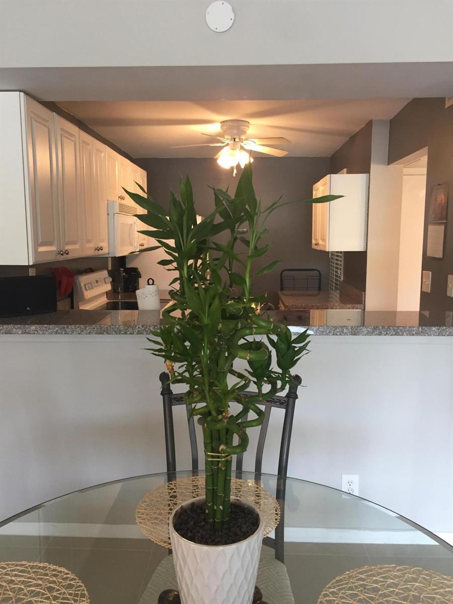 10 Royal Palm Way # 2030, Boca Raton FL 33432 photo 4