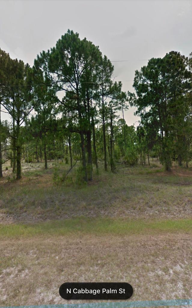 470 N Cabbage Palm Street, Clewiston FL 33440 photo 3