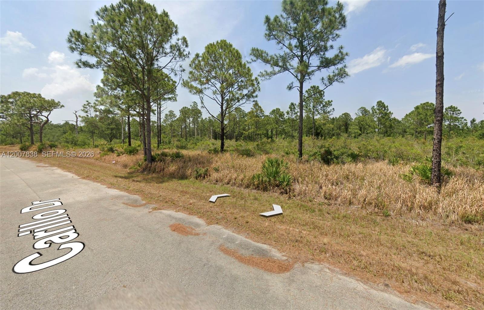 8134 CARILLO DR, Sebring FL 33872 photo 2