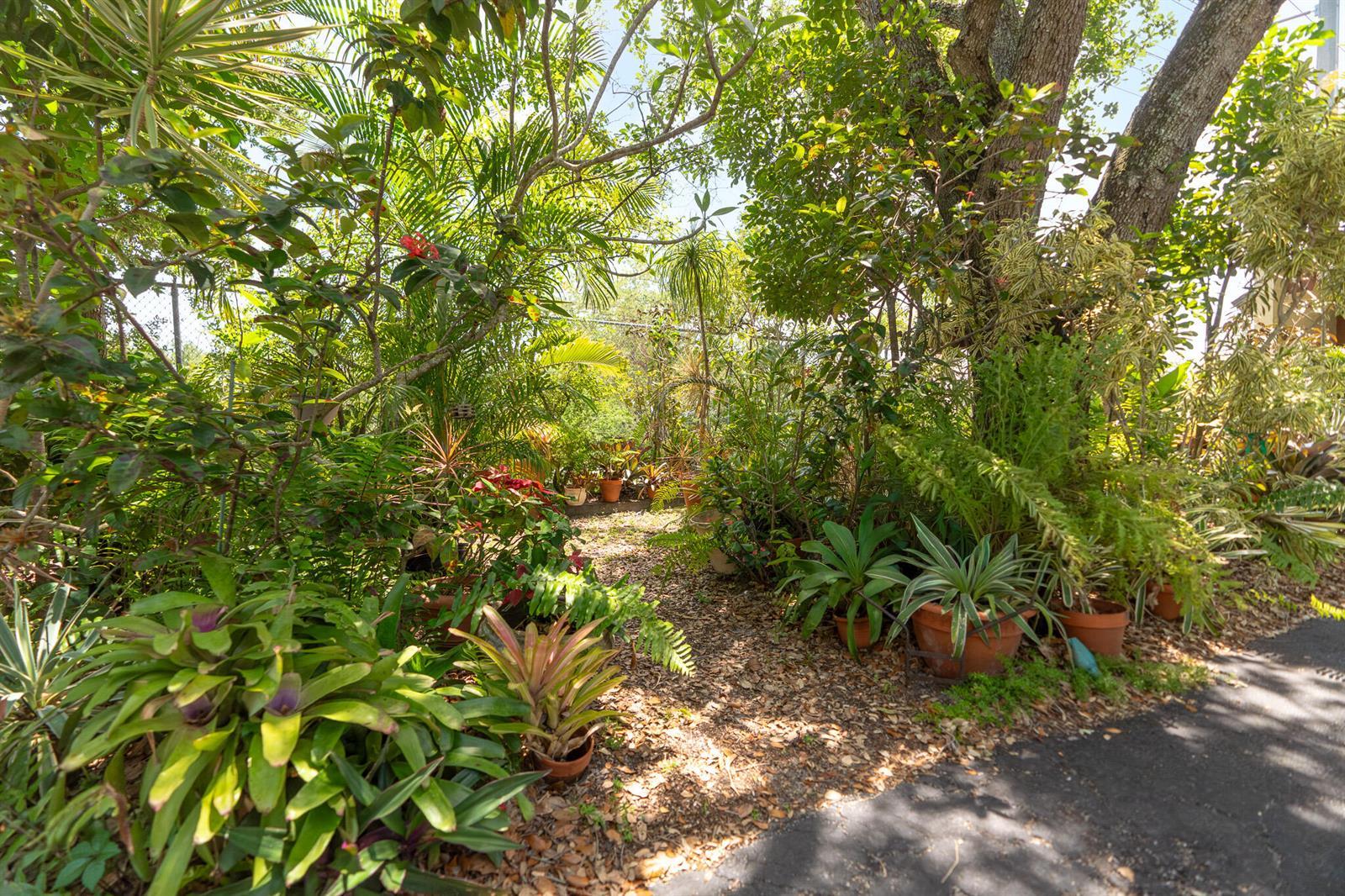 6101 NW 32nd Way, Fort Lauderdale FL 33309 photo 5