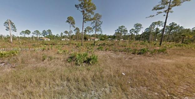 918 Columbus Ave, Lehigh Acres FL 33972 photo 2
